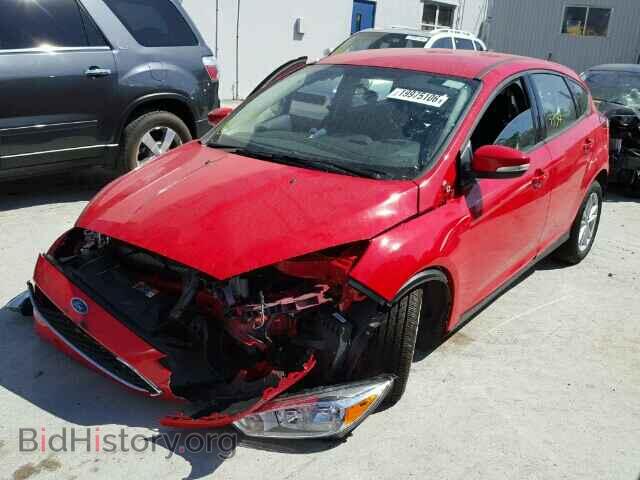 2016 FORD FOCUS - VIN: 1FADP3K29GL234875 - Фото 2