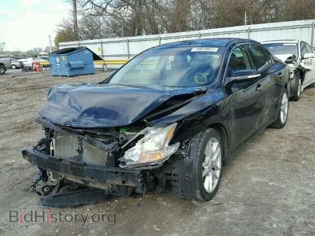 2010 NISSAN MAXIMA - VIN: 1N4AA5AP2AC815350 - Фото 2