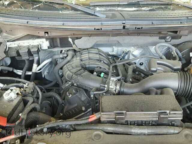 2013 FORD F150 - VIN: 1FTMF1CM5DFD76927 - Фото 7