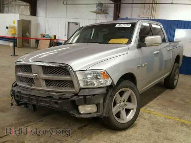 2009 DODGE RAM 1500 - VIN: 1D3HV13T59J524775 - Фото 2