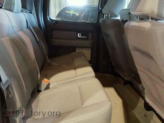 2013 FORD F150 - VIN: 1FTEW1CM3DFC06067 - Фото 6