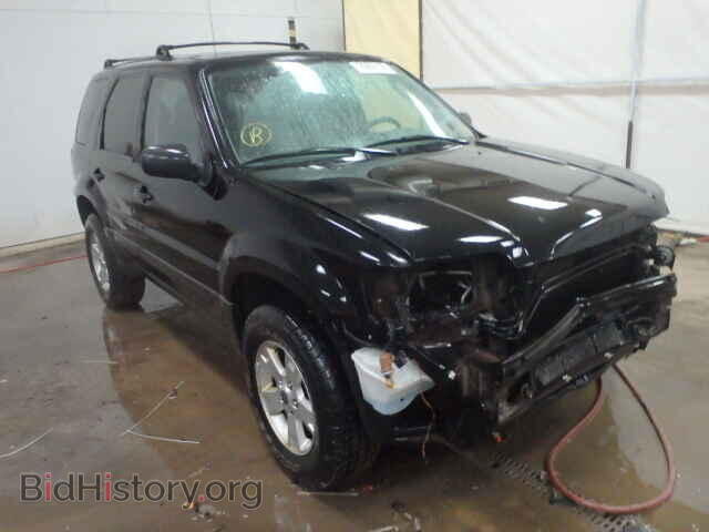 Фотография 1FMYU03Z37KC07087 - FORD ESCAPE 2007