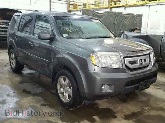 Фотография 5FNYF48489B002612 - HONDA PILOT 2009
