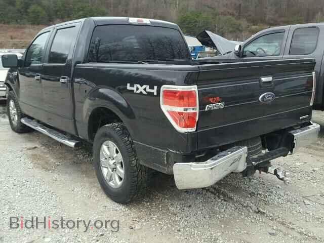 2013 FORD F150 - VIN: 1FTFW1EF4DFD54599 - Фото 3