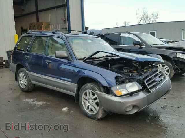 Photo JF1SG67685H708528 - SUBARU FORESTER 2005