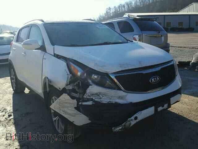 Photo KNDPBCAC7E7793199 - KIA SPORTAGE 2014