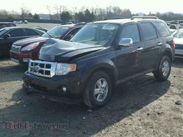 2011 FORD ESCAPE - VIN: 1FMCU0D71BKC43019 - Фото 2