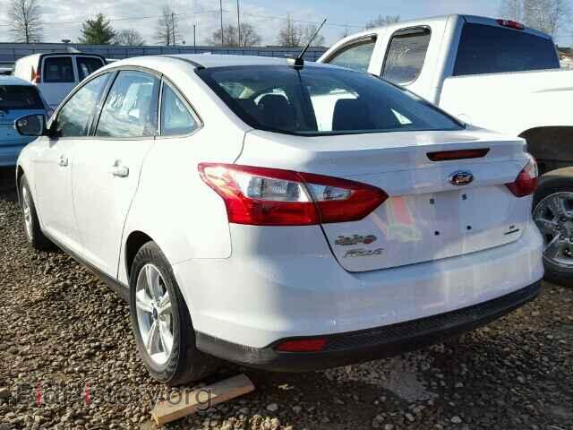 2014 FORD FOCUS - VIN: 1FADP3F26EL420252 - Photo 3