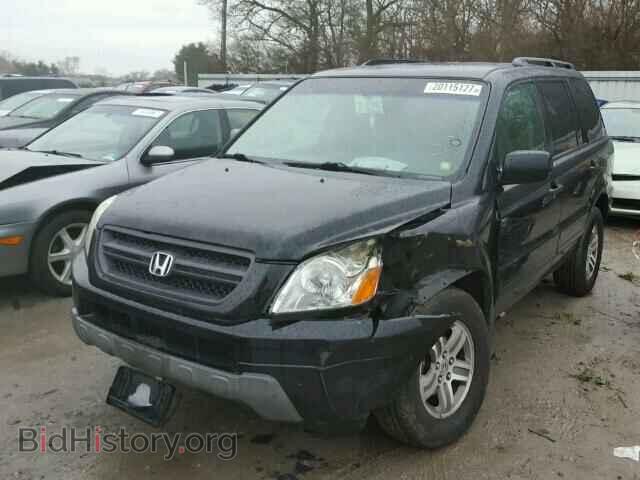 2005 HONDA PILOT - VIN: 5FNYF18455B056023 - Фото 2