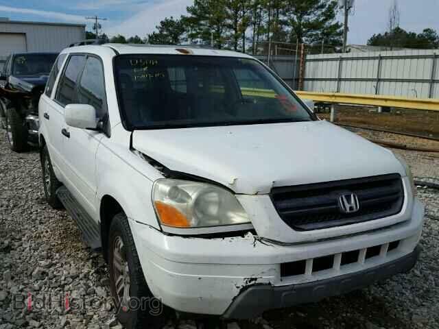 Photo 5FNYF18655B041278 - HONDA PILOT 2005