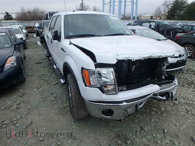 Фотография 1FTFW1EF7DKD33656 - FORD F150 2013