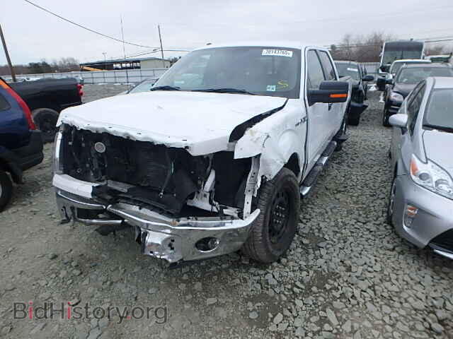2013 FORD F150 - VIN: 1FTFW1EF7DKD33656 - Фото 2
