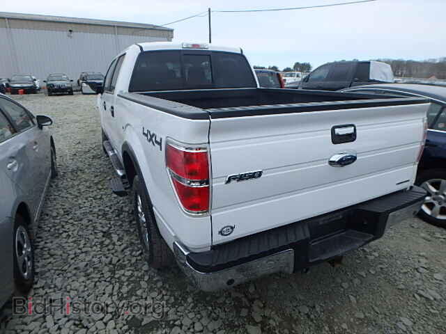 2013 FORD F150 - VIN: 1FTFW1EF7DKD33656 - Фото 3
