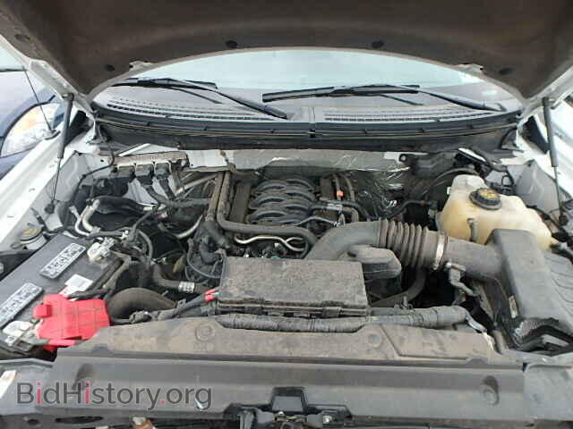2013 FORD F150 - VIN: 1FTFW1EF7DKD33656 - Фото 7