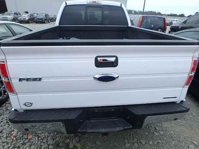 2013 FORD F150 - VIN: 1FTFW1EF7DKD33656 - Фото 10