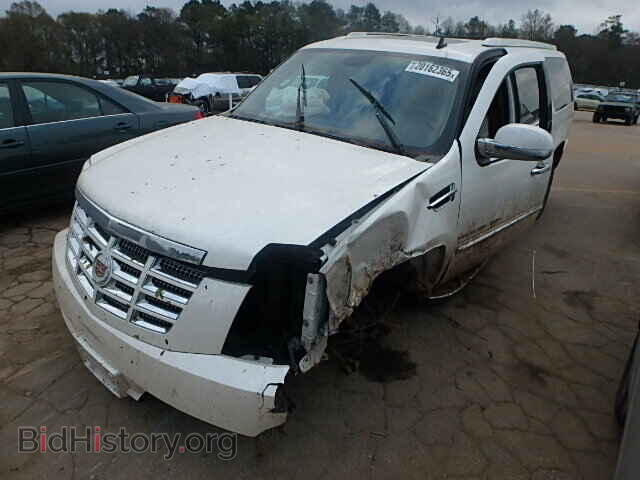 2011 CADILLAC ESCALADE - VIN: 1GYS4HEF4BR137430 - Фото 2