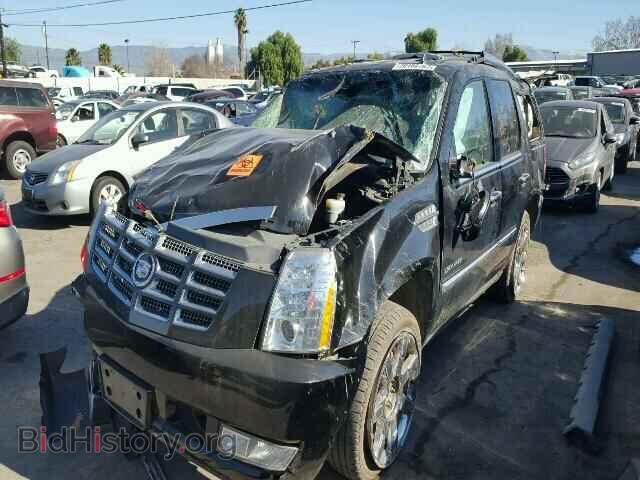 2010 CADILLAC ESCALADE - VIN: 1GYUCCEF2AR248913 - Фото 2
