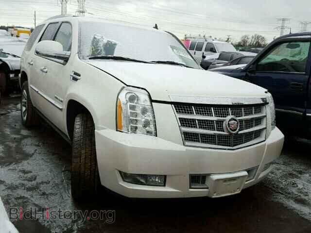 Фотография 1GYS4DEF5BR343073 - CADILLAC ESCALADE 2011