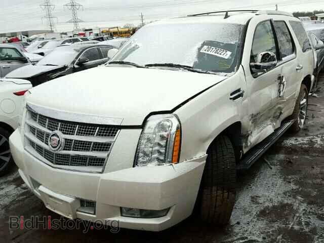 2011 CADILLAC ESCALADE - VIN: 1GYS4DEF5BR343073 - Фото 2