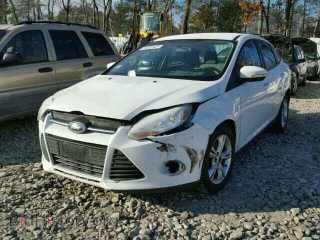 2013 FORD FOCUS - VIN: 1FADP3F2XDL367831 - Фото 2