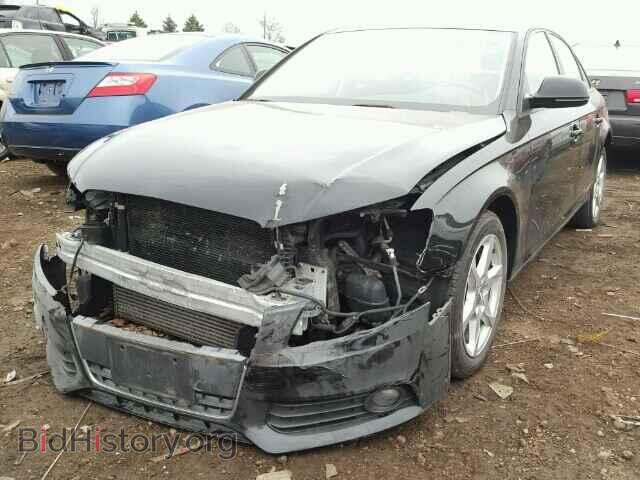 2009 AUDI A4 - VIN: WAULF78KX9N036205 - Фото 2