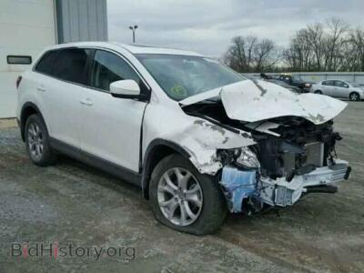 2014 Mazda CX-9 CX-9 Touri, белый — VIN JM3TB3CV5E0444764, Copart