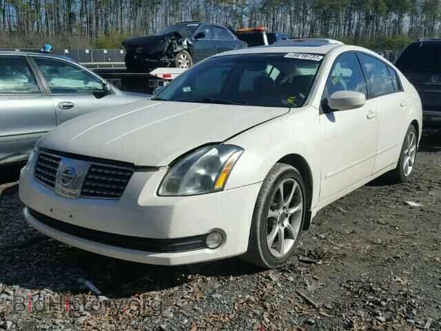 2005 NISSAN MAXIMA - VIN: 1N4BA41E05C855462 - Фото 2