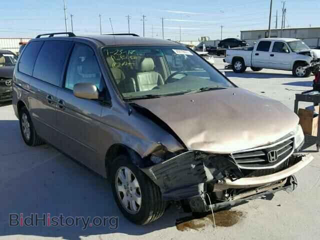 Photo 5FNRL18943B016702 - HONDA ODYSSEY 2003
