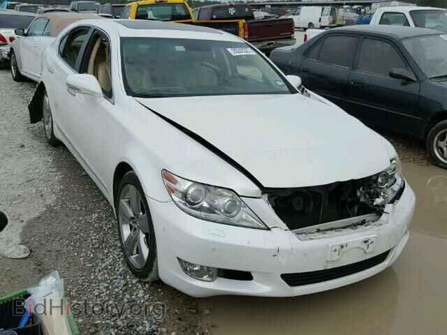 Photo JTHBL5EF7A5100416 - LEXUS LS460 2010