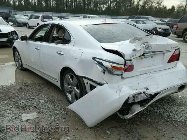 2010 LEXUS LS460 - VIN: JTHBL5EF7A5100416 - Фото 3