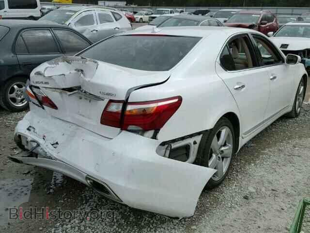 2010 LEXUS LS460 - VIN: JTHBL5EF7A5100416 - Фото 4