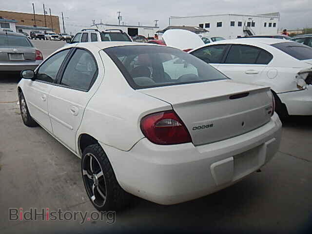 2005 DODGE NEON - VIN: 1B3ES56C55D187347 - Фото 3