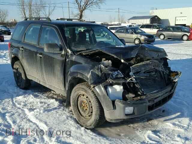 Photo 4F2CY0C79BKM02864 - MAZDA TRIBUTE 2011