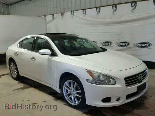 Фотография 1N4AA5AP3BC868592 - NISSAN MAXIMA 2011