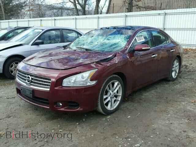 2009 NISSAN MAXIMA - VIN: 1N4AA51E89C831935 - Фото 2