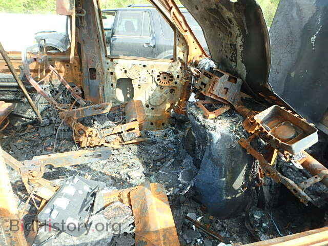 2014 FORD ECONOLINE - VIN: 1FDNE1EL4EDA72914 - Фото 5