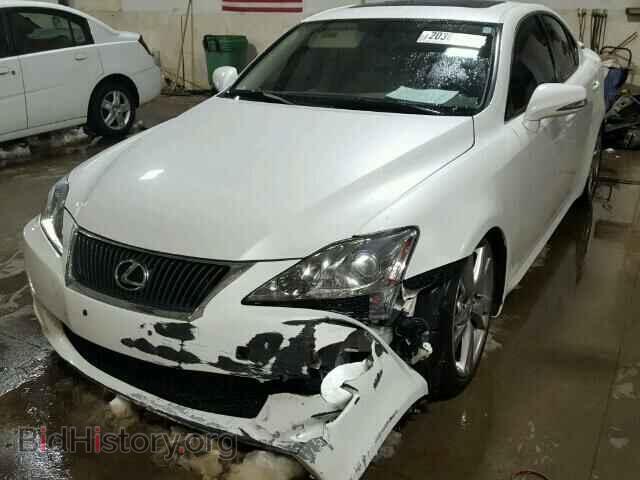 2010 LEXUS IS250 - VIN: JTHBF5C2XA5126094 - Фото 2