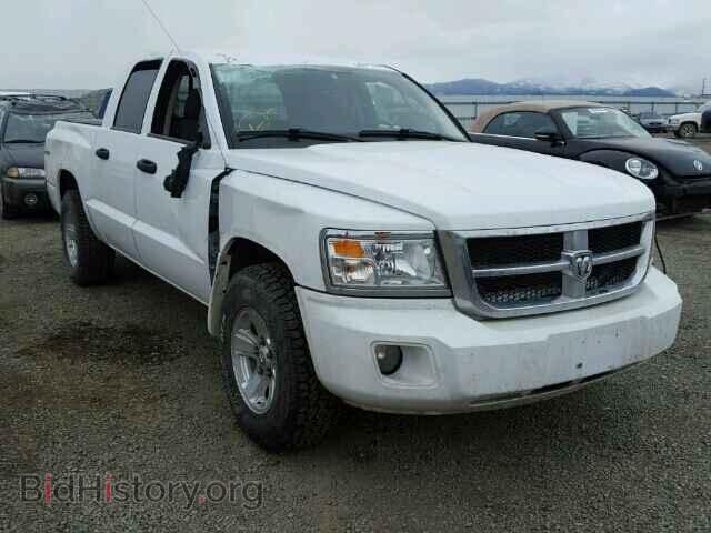 Фотография 1D7HW48N08S567971 - DODGE DAKOTA 2008