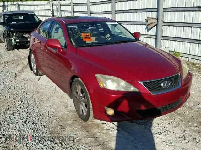 Фотография JTHBK262572032575 - LEXUS IS250 2007