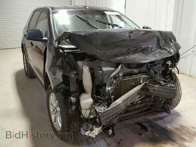 Фотография 2FMDK4JC4ABB76802 - FORD EDGE 2010