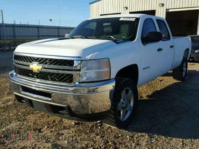 2011 CHEVROLET SILVERADO - VIN: 1GC1CVC84BF245667 - Фото 2