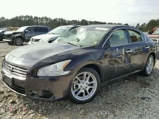 2010 NISSAN MAXIMA - VIN: 1N4AA5AP5AC828142 - Фото 2