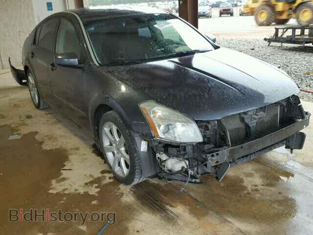 Фотография 1N4BA41E88C826392 - NISSAN MAXIMA 2008