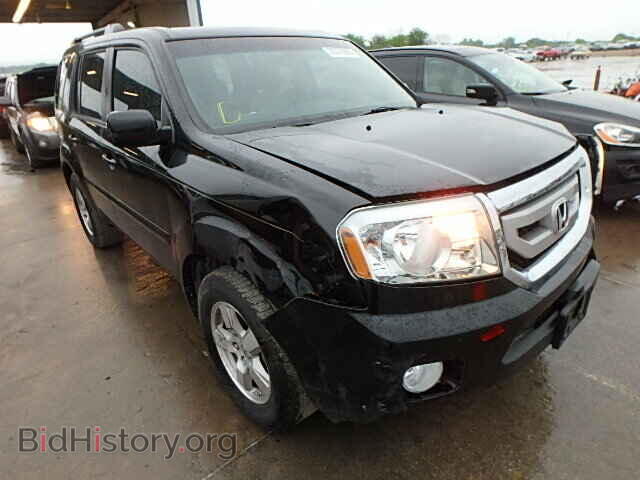 Photo 5FNYF3H40BB034986 - HONDA PILOT 2011