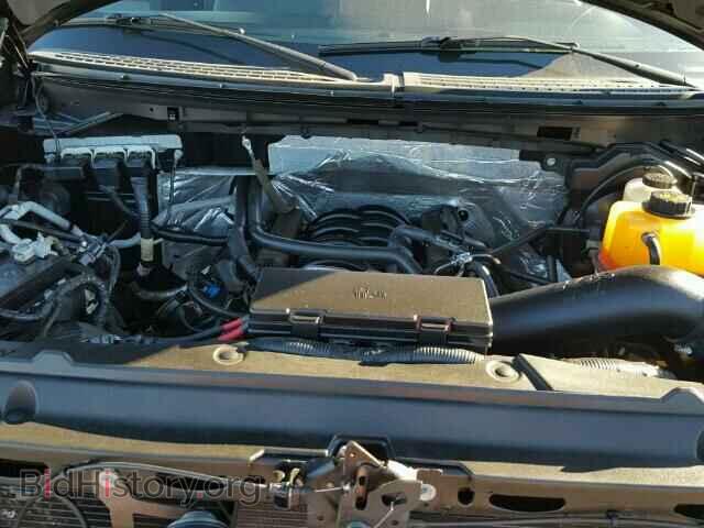 2013 FORD F150 - VIN: 1FTFX1EF5DFD77015 - Фото 7