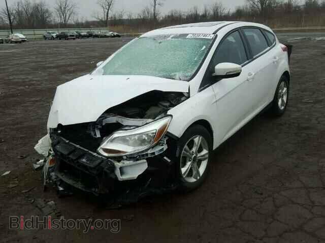 2013 FORD FOCUS - VIN: 1FADP3K27DL250875 - Фото 2