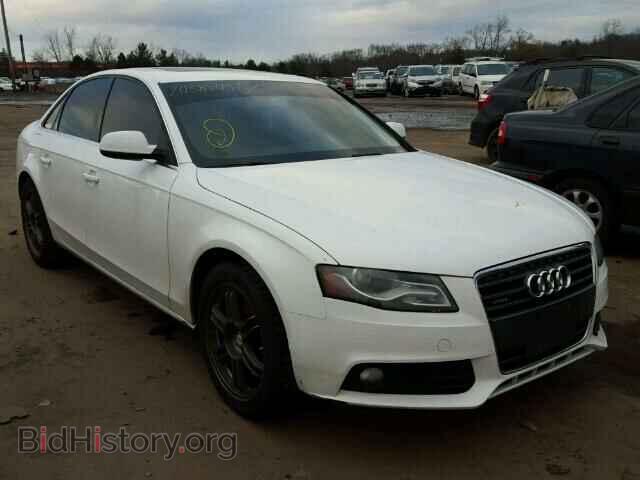 Фотография WAUFFAFL8AN070508 - AUDI A4 2010
