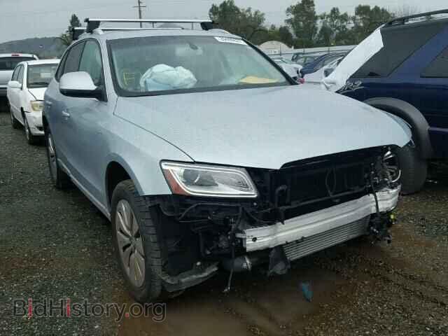 Фотография WA1C8AFP8DA082876 - AUDI Q5 2013