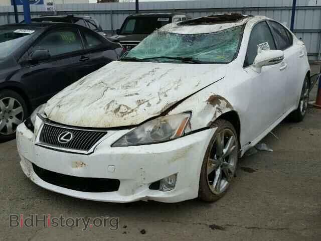 2009 LEXUS IS250 - VIN: JTHBK262795104166 - Фото 2