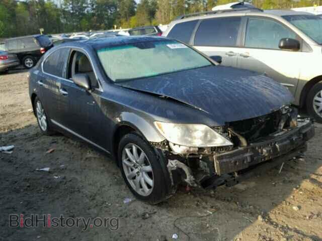 Фотография JTHBL46F885054579 - LEXUS LS460 2008